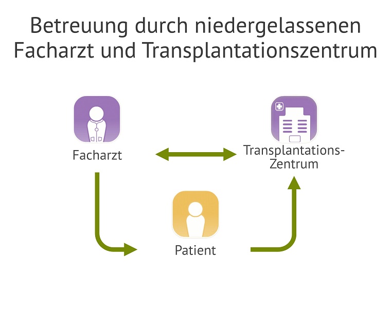 Transplantation Kontrolle und Transplantation verstehen