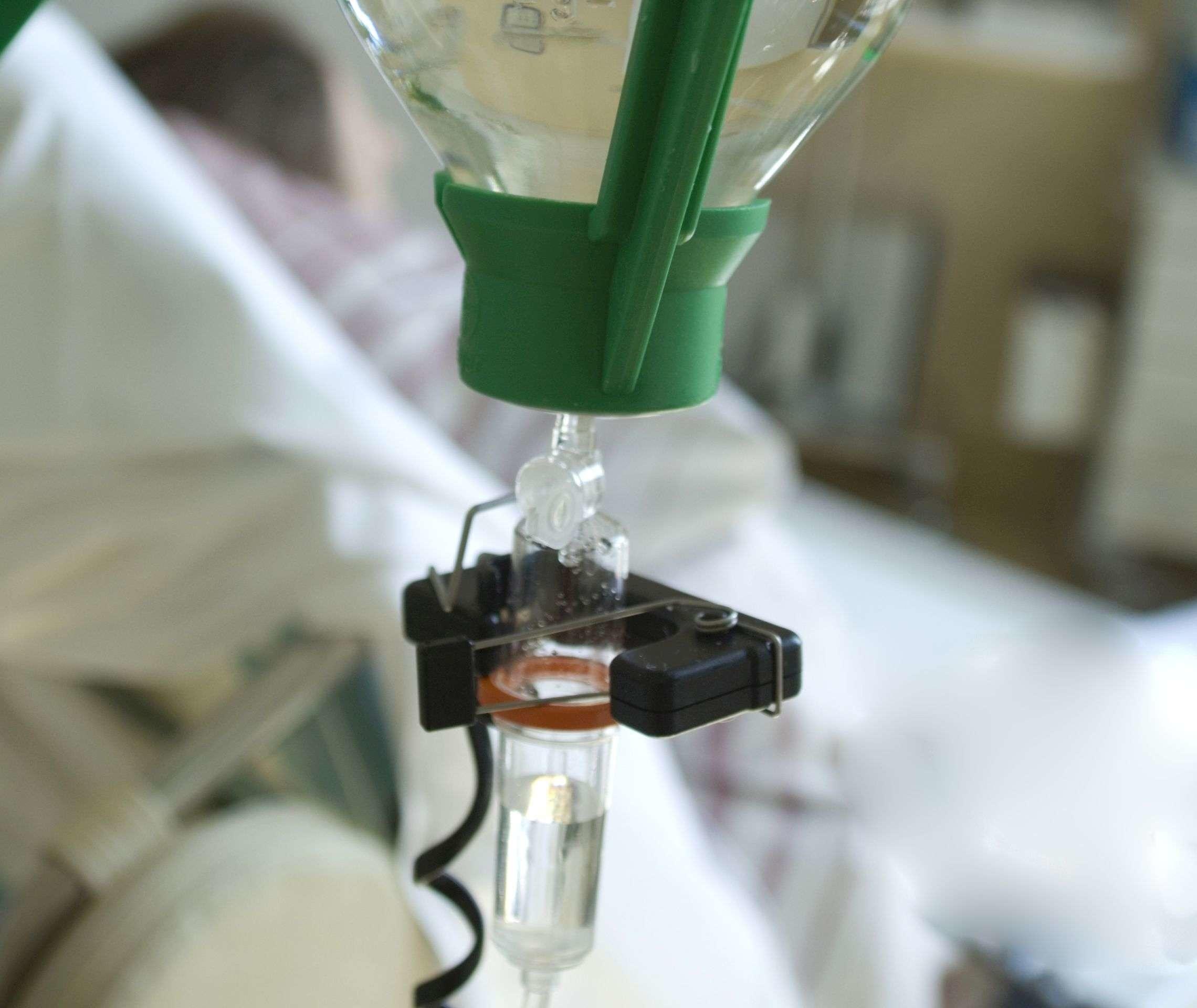 Behandlung von Infektionen nach Organtransplantation