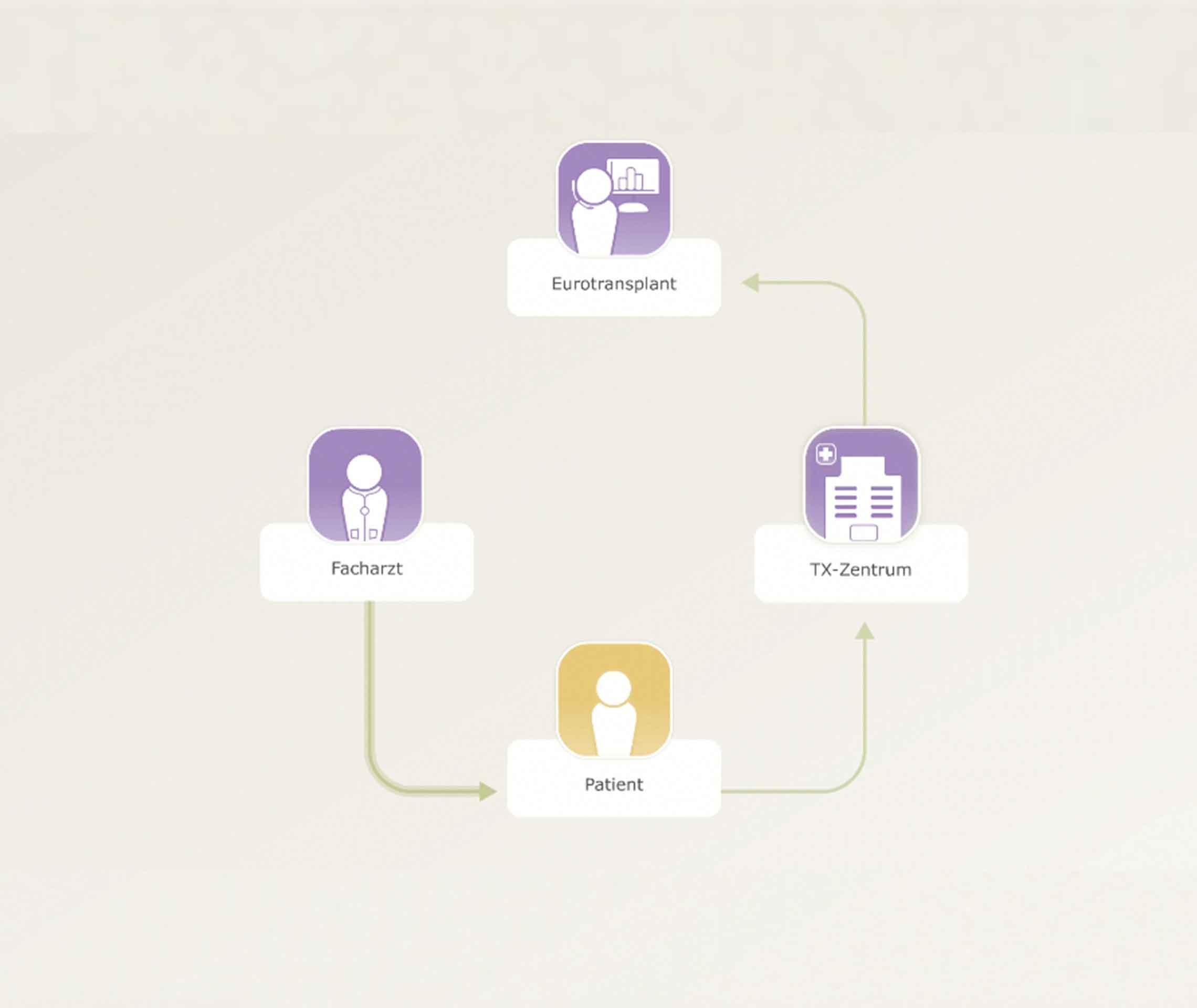 Transplantation verstehen: Die Grafik zeigt den Entscheidungsweg einer Organtransplantetion