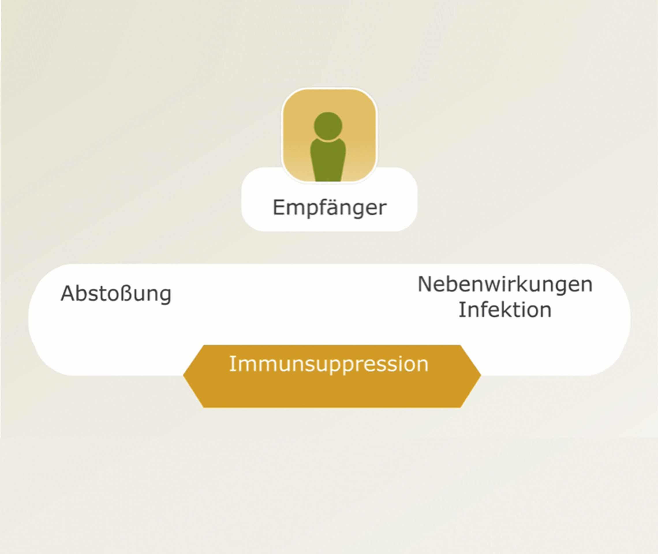 Transplantation verstehen: Die Grafik zeigt das Wechselspiel zwischen Abstoßung und Nebenwirkungen einer Immunsuppression