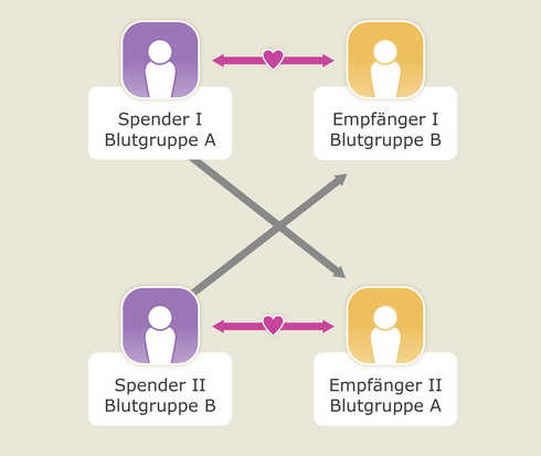 Prinzip einer Cross-over-Transplantation