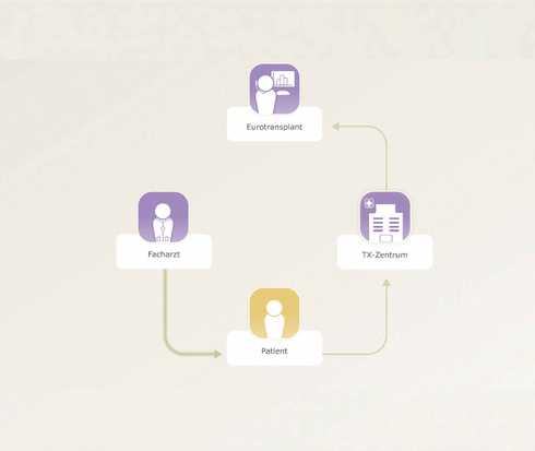 Transplantation verstehen: Die Grafik zeigt den Entscheidungsweg einer Organtransplantetion 
