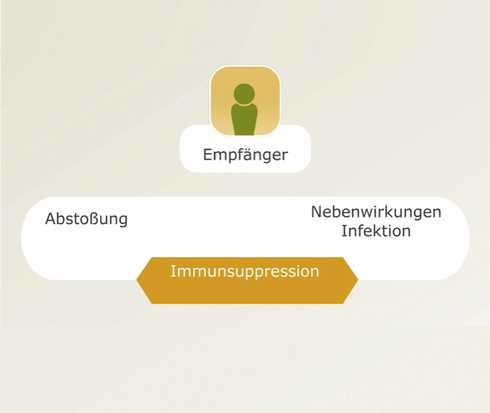 Transplantation verstehen: Die Grafik zeigt das Wechselspiel zwischen Abstoßung und Nebenwirkungen einer Immunsuppression