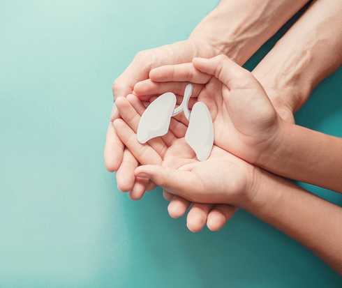 Vier Hände halten symbolisch eine Miniatur zweier Lungenflügel