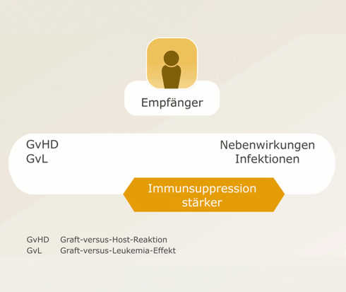 Die Grafik veranschaulicht, wie immunsuppressiva wirken, um die Abstoßungsreaktion des Körpers zu umgehen.