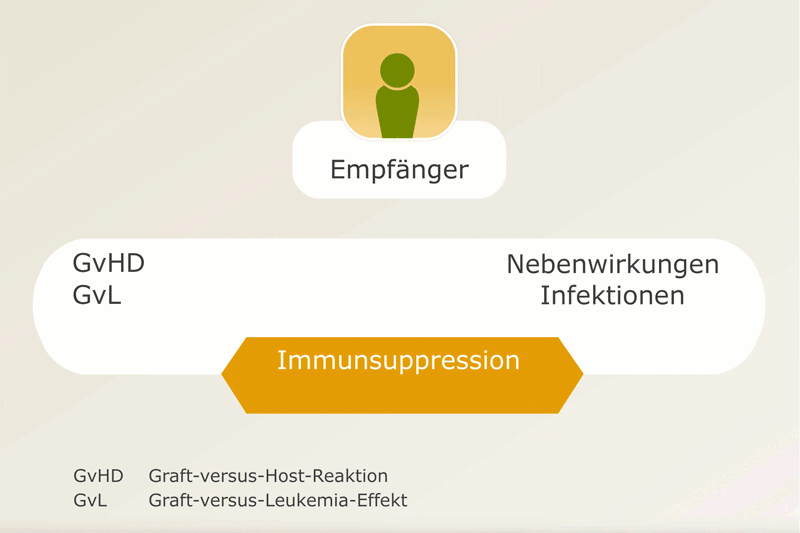 Die Dosis der Immunsuppressiva muss fein ausbalanciert werden.