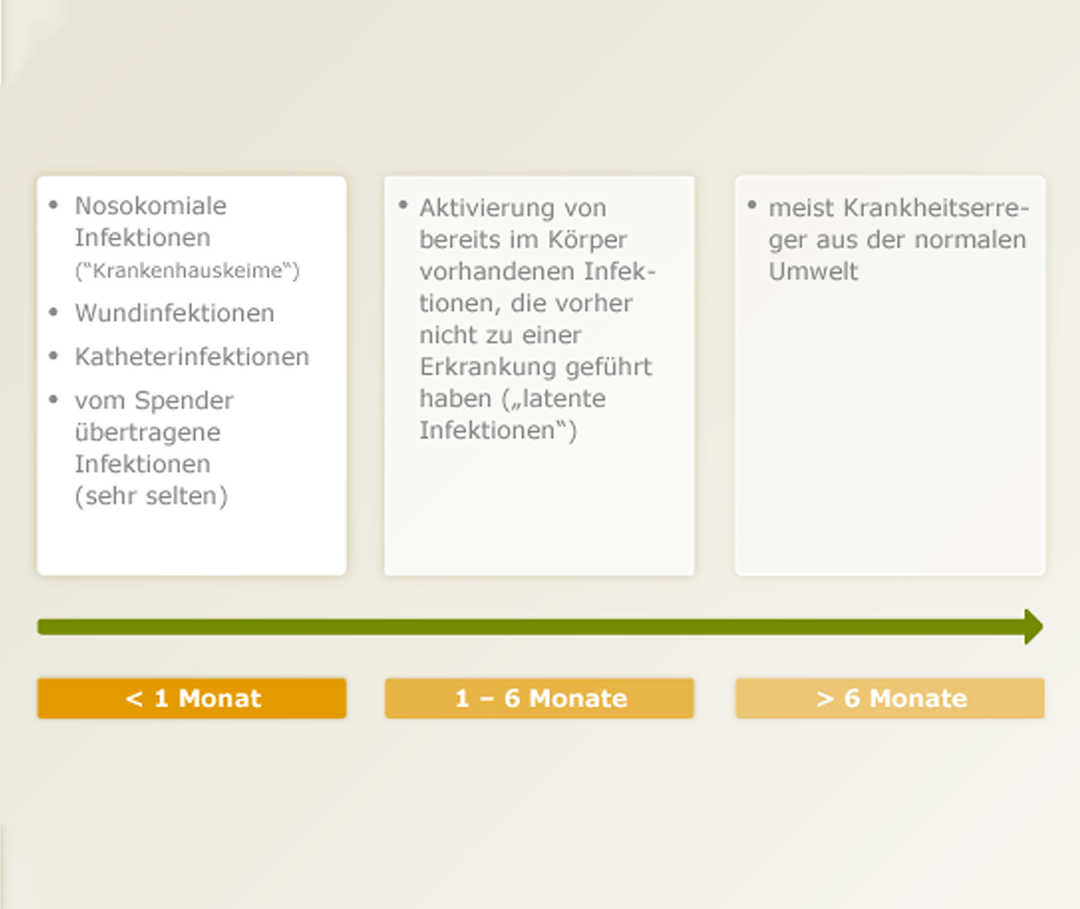 Ursprung der Krankheitserreger bei Infektionen nach einer Transplantation