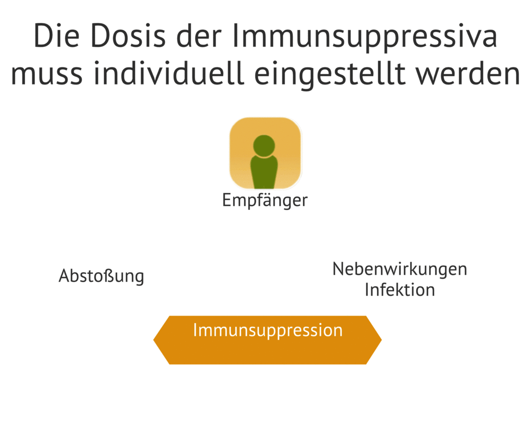 Die Grafik zeigt, wie die Dosierung der Immundepressiva individuell auf den Patienten eingestellt wird