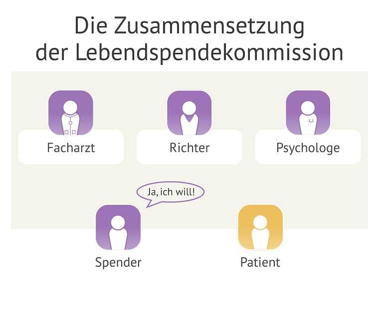 Die Grafik zeigt die Zusammensetzung der Lebendspendekommission Die Grafik zeigt die Zusammensetzung der Lebendspendekommission