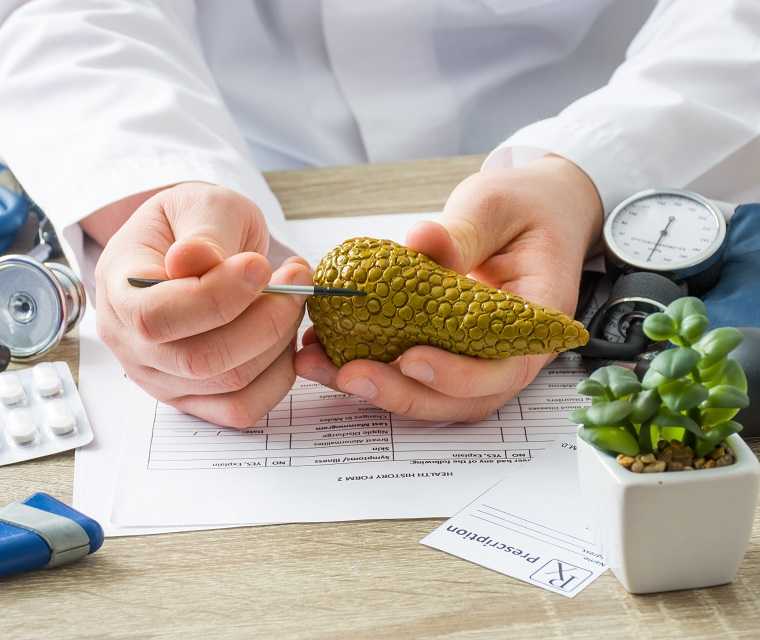 Eine Ärztin erklärt die Schritte einer Organtransplantation