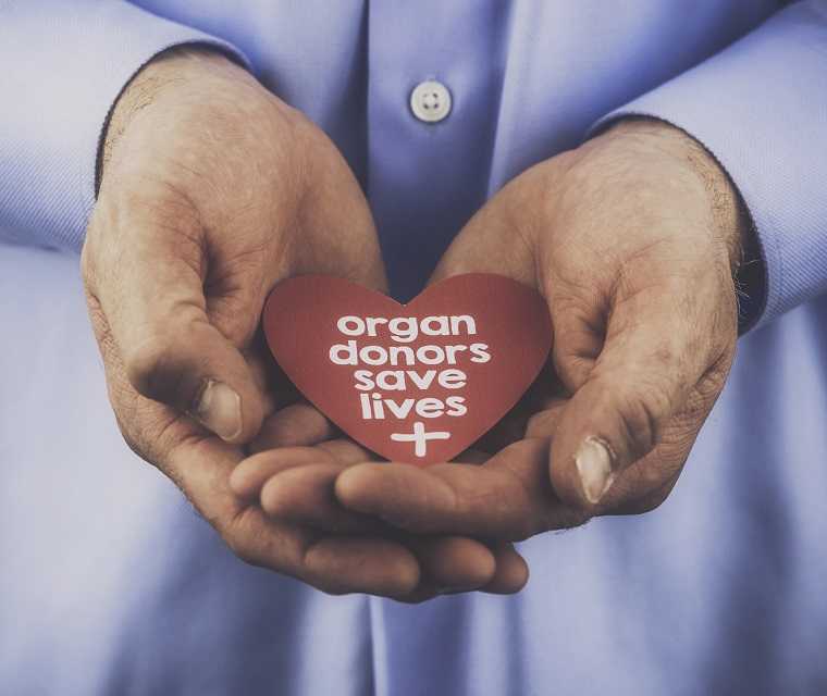Ein Mann hält mit beiden Händen einen herzförmigen Sticker mit der Aufschrift „Organspender retten Leben“ 